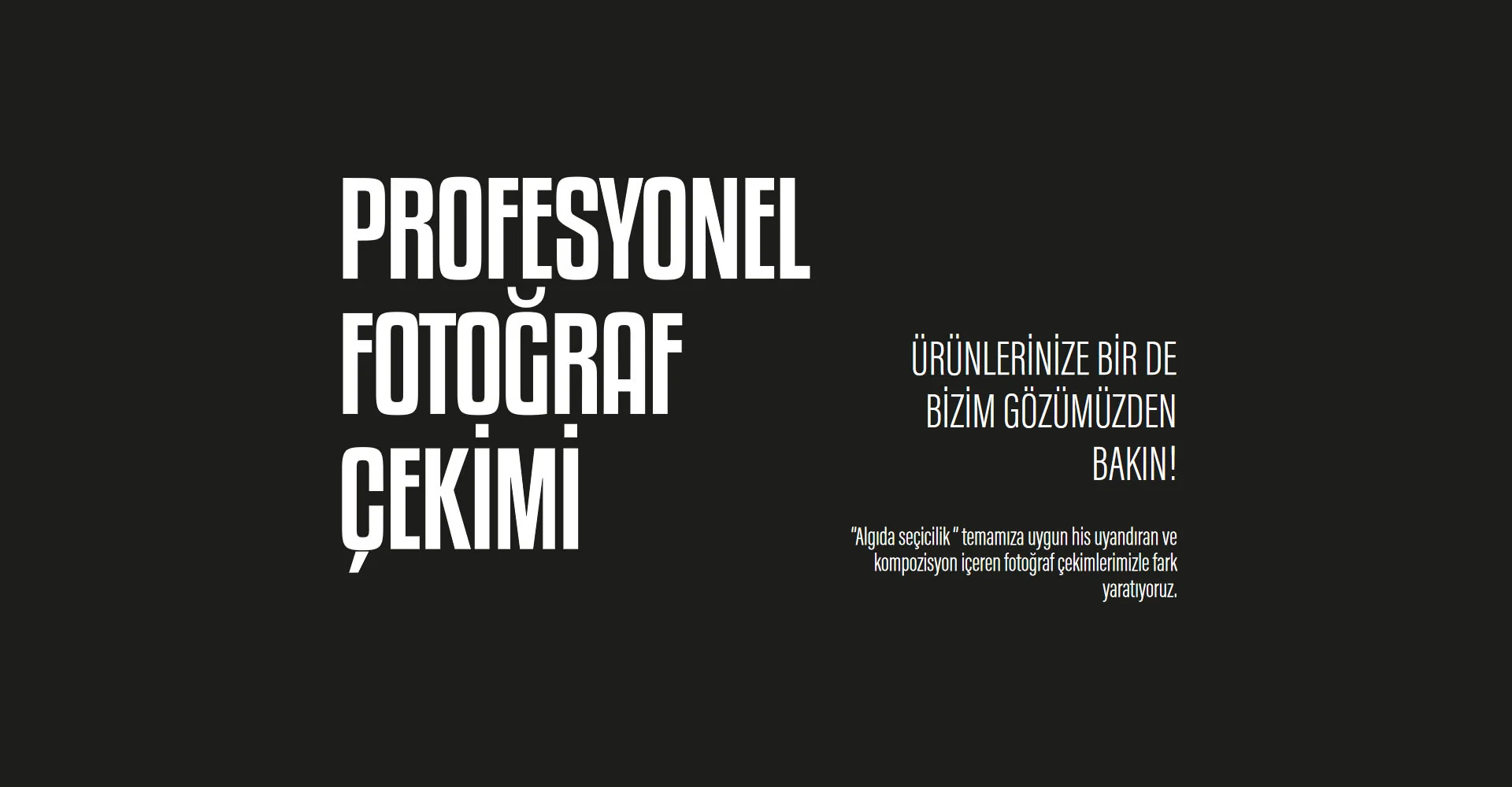 Profesyonel fotoğraf çekimi